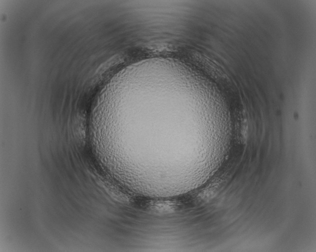 X0000077280710200611031525