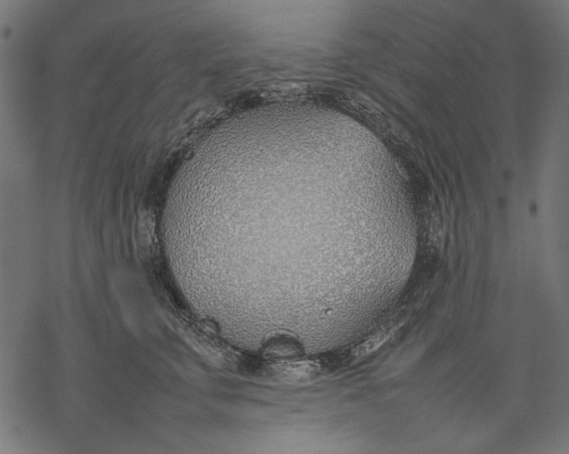 X0000077280711200611031525