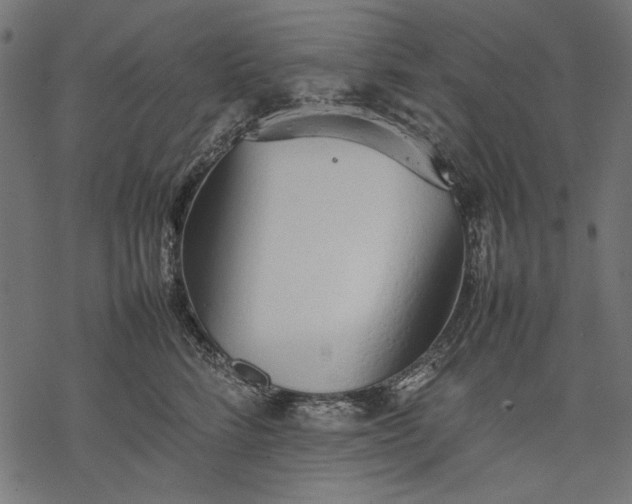 X0000077280712200611031525