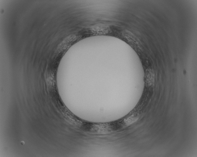 X0000077280713200611031525