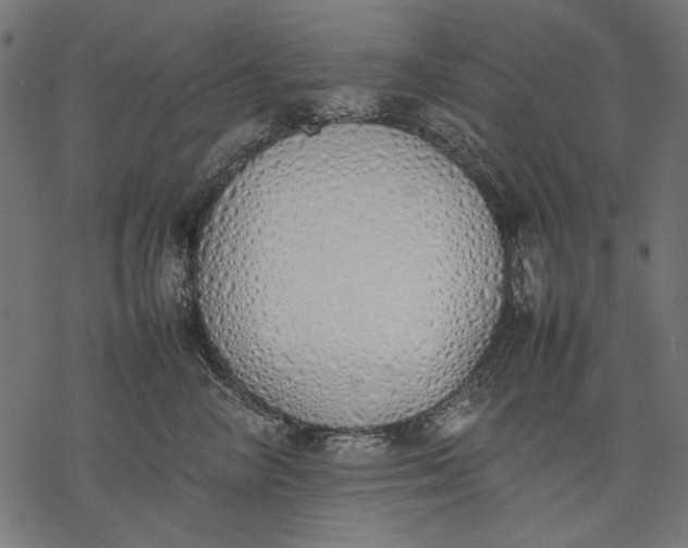 X0000077280714200611031525