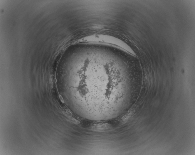 X0000077280716200611031525