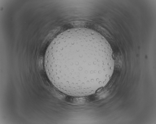 X0000077280717200611031525