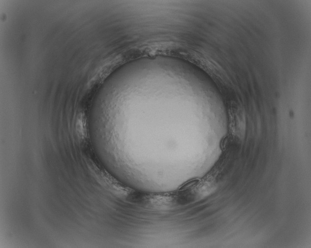 X0000077280718200611031525