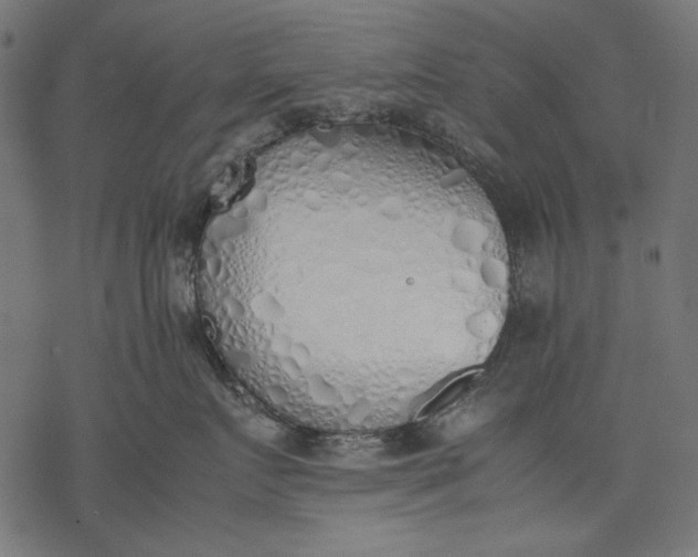 X0000077280719200611031525