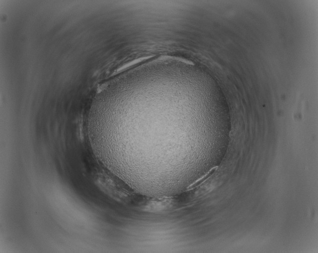 X0000077280720200611031525