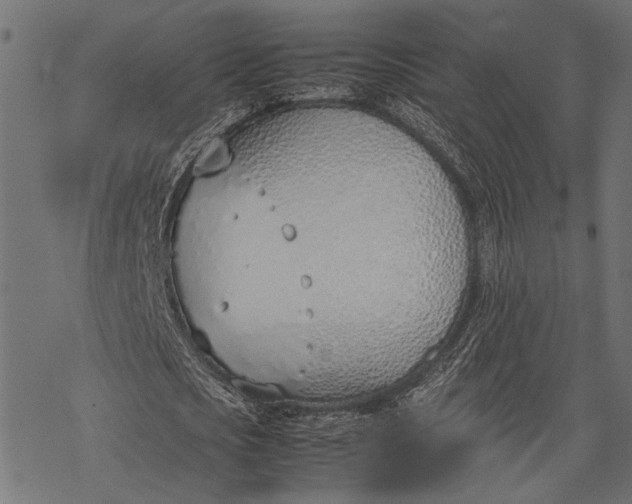 X0000077280721200611031524