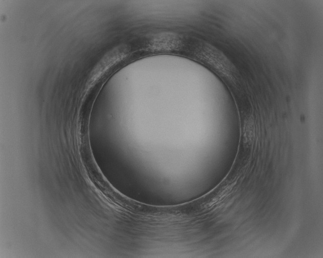 X0000077280722200611031524