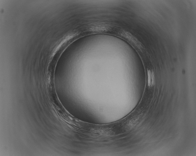 X0000077280723200611031524