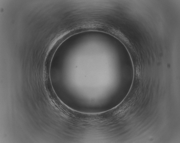 X0000077280724200611031524