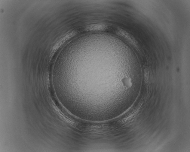 X0000077280725200611031524