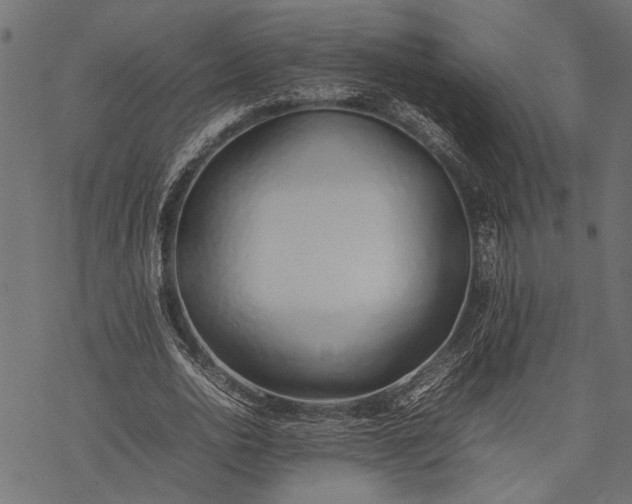 X0000077280726200611031524