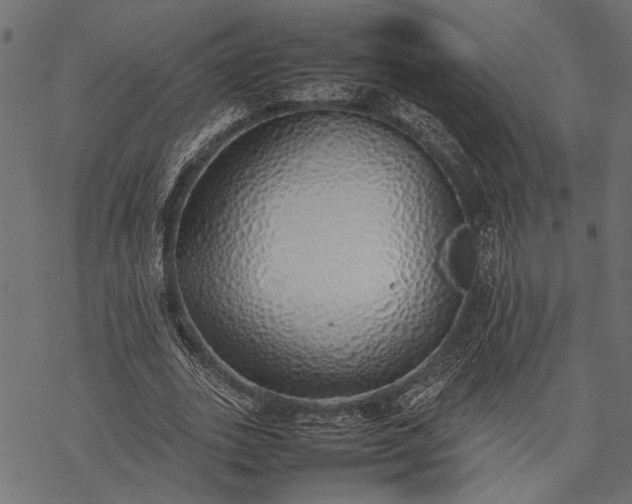 X0000077280727200611031524