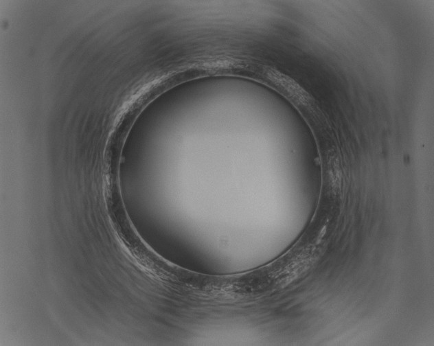 X0000077280728200611031524