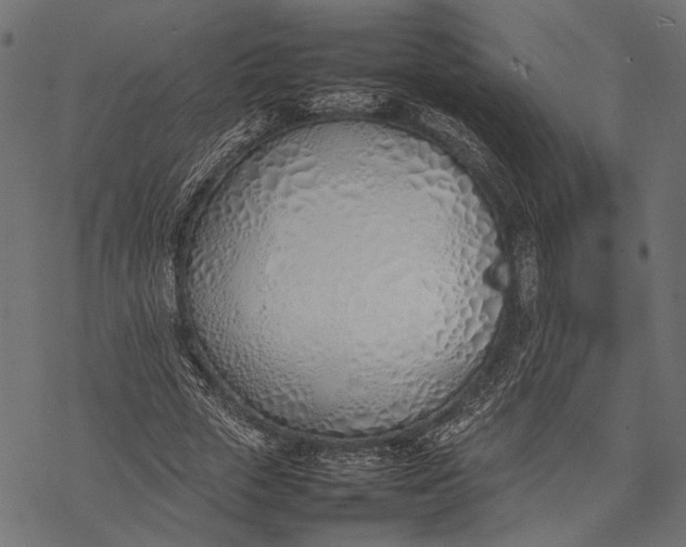 X0000077280729200611031524