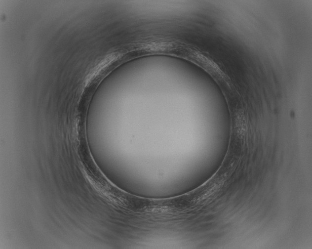 X0000077280730200611031524