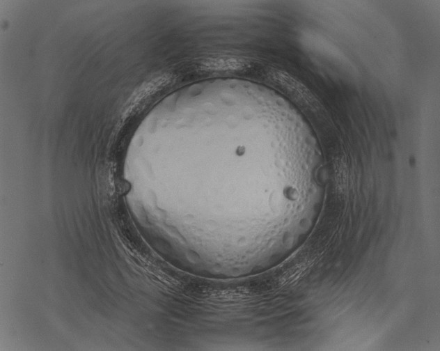 X0000077280731200611031524