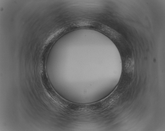 X0000077280732200611031525