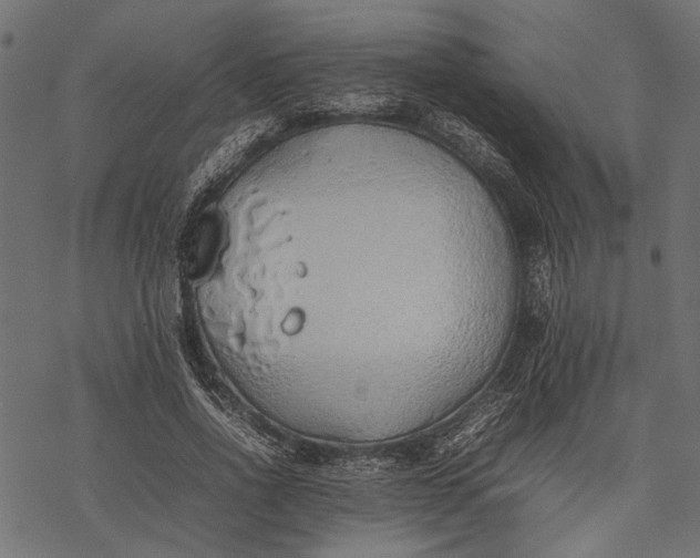 X0000077280734200611031525