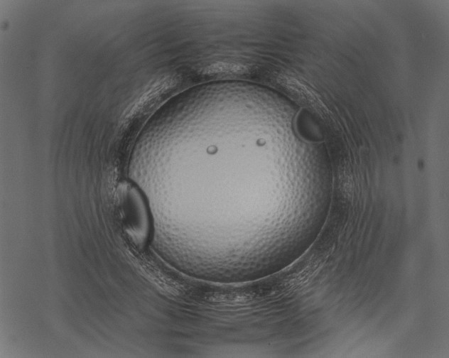 X0000077280735200611031525