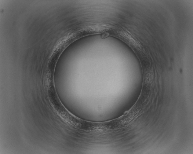 X0000077280736200611031525