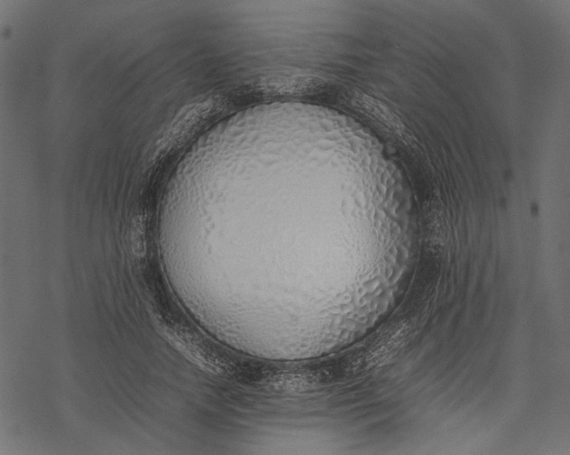 X0000077280738200611031525