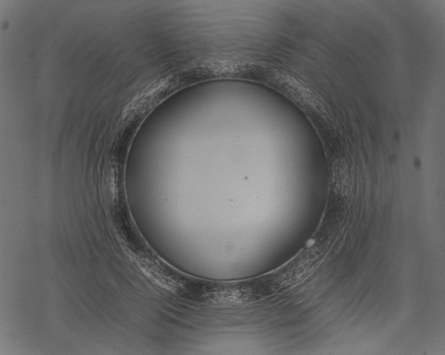 X0000077280740200611031525