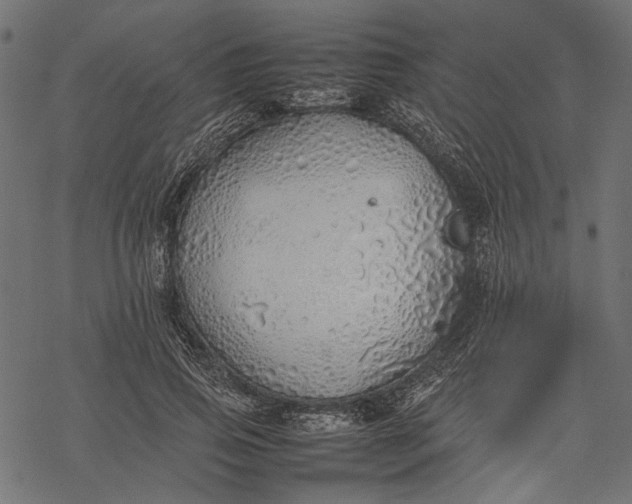 X0000077280741200611031525