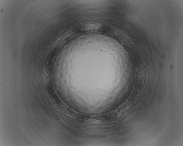 X0000077280743200611031525