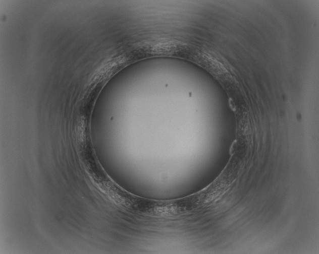 X0000077280744200611031525