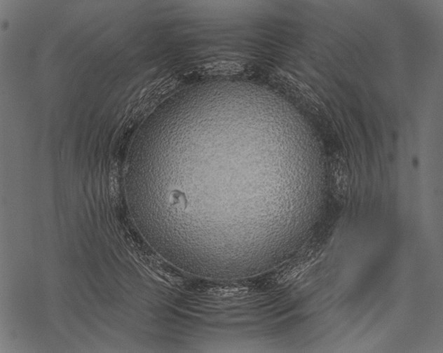 X0000077280745200611031525