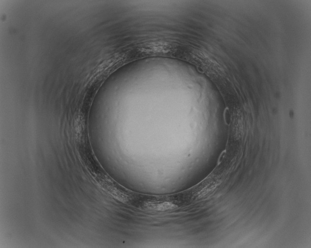 X0000077280747200611031525