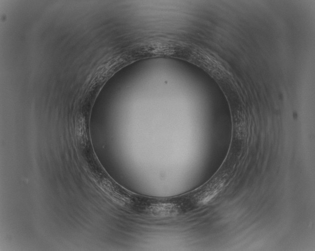 X0000077280748200611031525