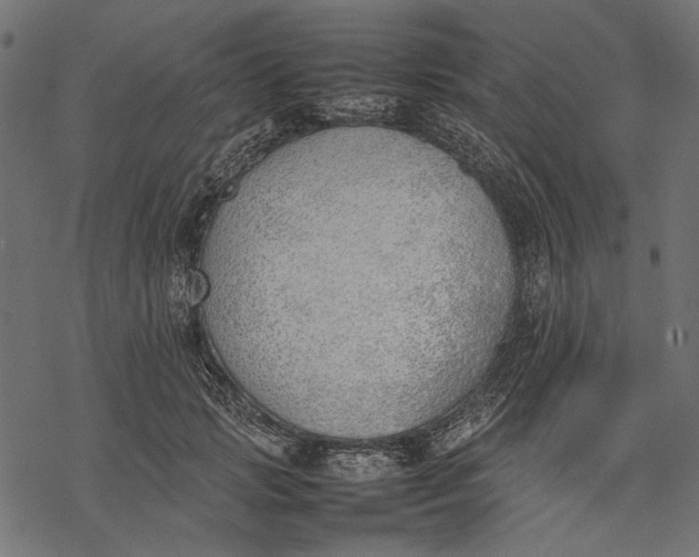 X0000077280749200611031525