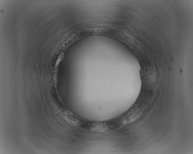 X0000077280750200611031525