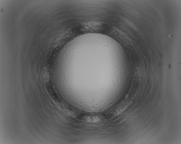 X0000077280751200611031525