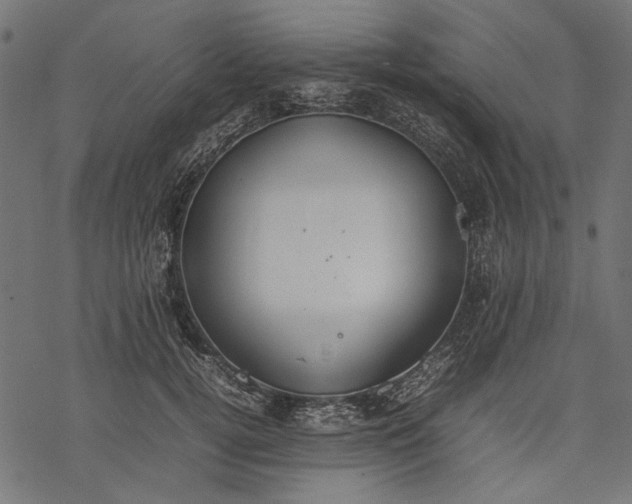 X0000077280752200611031525