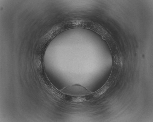 X0000077280754200611031525