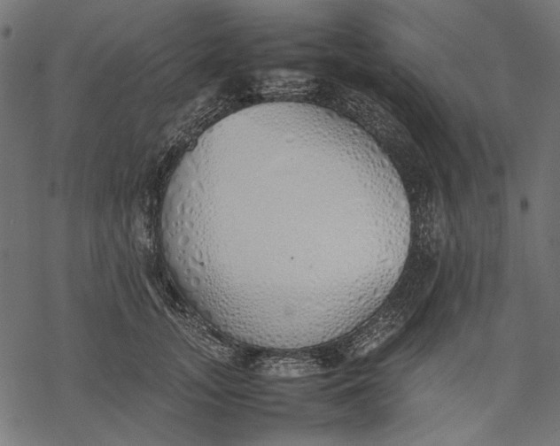 X0000077280755200611031525