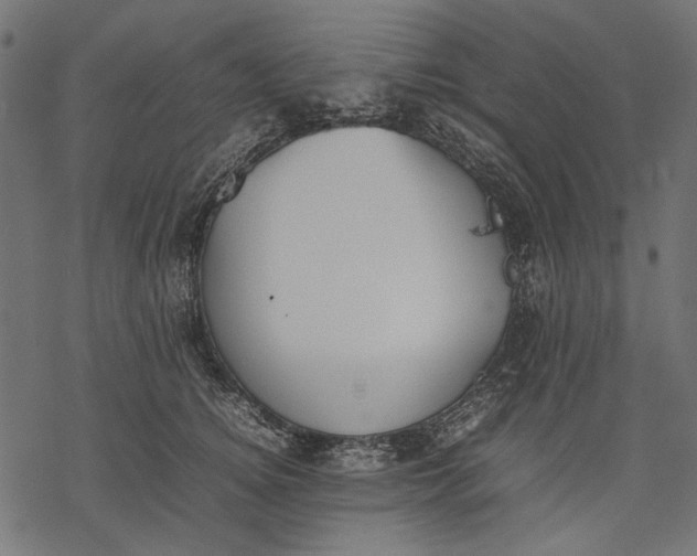 X0000077280756200611031525