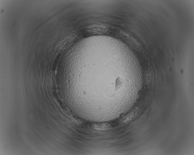 X0000077280757200611031525