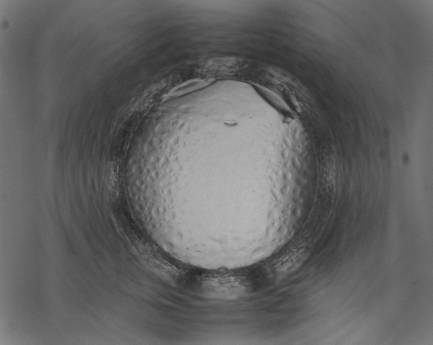 X0000077280759200611031525