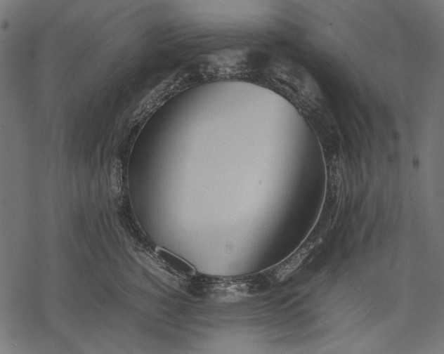 X0000077280760200611031525