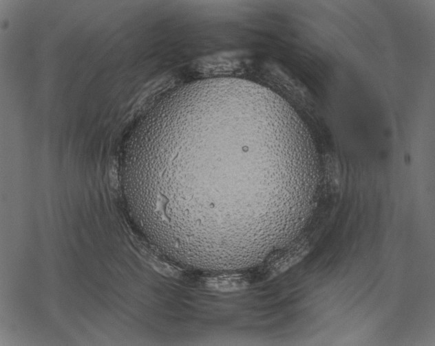 X0000077280761200611031525