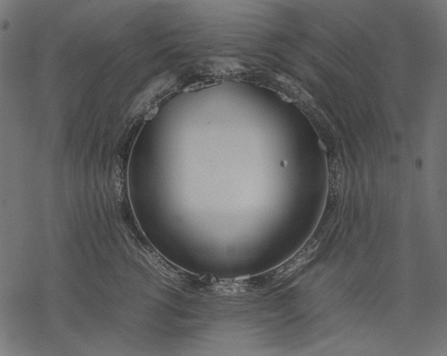 X0000077280762200611031525