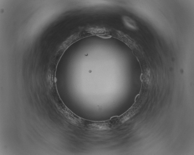 X0000077280763200611031525