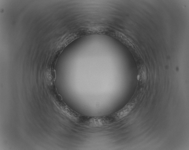 X0000077280764200611031525