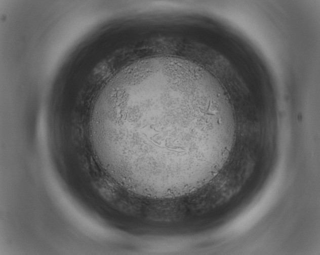 X0000077280765200611031525