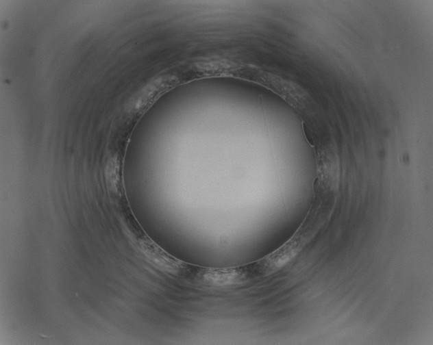 X0000077280767200611031525