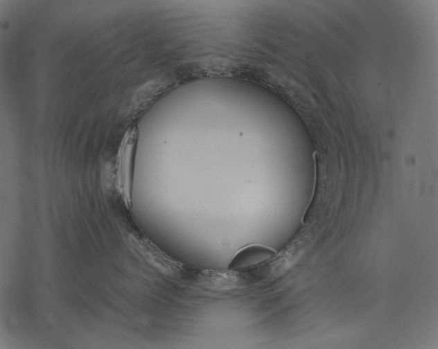 X0000077280768200611031525